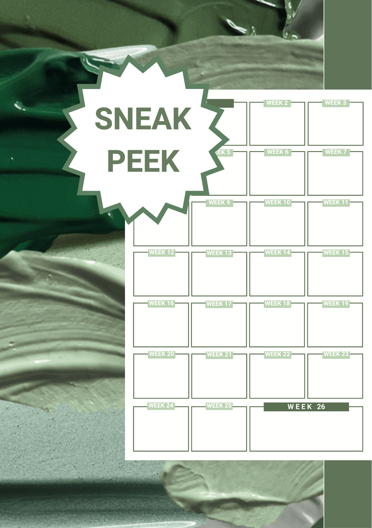 𝗣𝗥𝗘-𝗢𝗥𝗗𝗘𝗥 CHECK✓ | (VEEL MEER DAN EEN) PLANNER