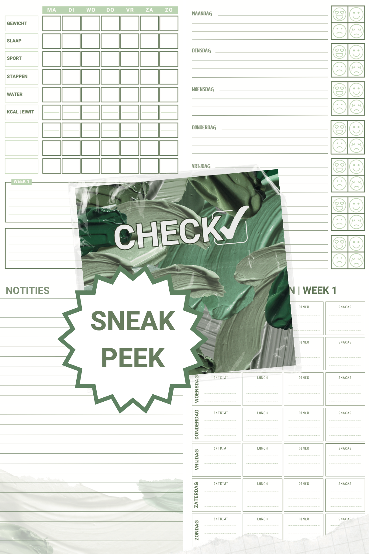 𝗣𝗥𝗘-𝗢𝗥𝗗𝗘𝗥 CHECK✓ | (VEEL MEER DAN EEN) PLANNER