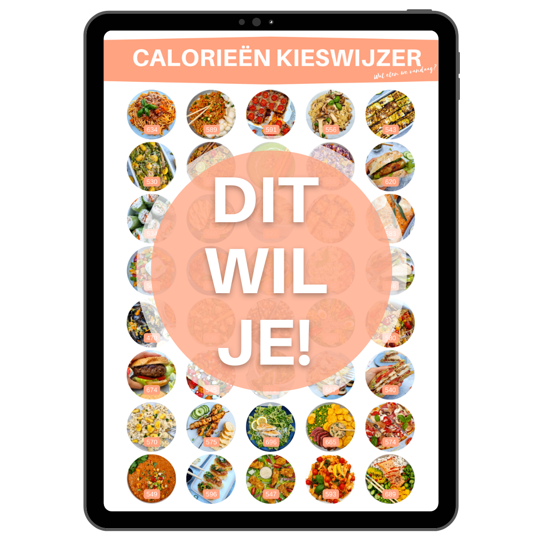 DIT WIL JE! - 40 x DINER e-book