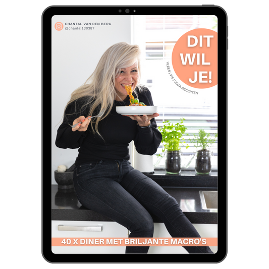 DIT WIL JE! - 40 x DINER e-book